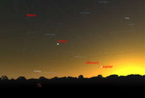 Re: The Trickster, The Coyote, Luscifer