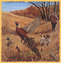 ... our bird hunting guides are some of the most experienced in Alberta