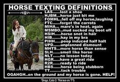 horsey friend, horses, hors text, funny horse, funni, definit, cowgirl ...