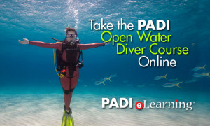 ... your holiday and start the PADI Open Water Diver Course online today