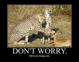 Dont Worry Not Hungry