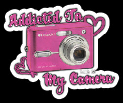 miss hotshot28 s bucket my new profile quotes and sayings