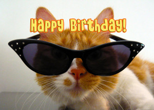 Happy Birthday Cool Cat...