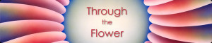 Through the Flower”