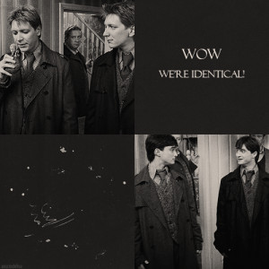 ... day 10 favourite fred and george quote fred and george turned to