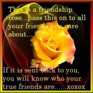Rose quotes, yellow rose quotes, white rose quotes