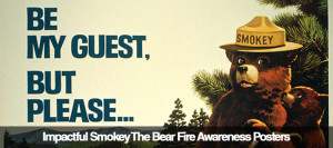 smokey bear often unofficially referred to as smokey the bear is a ...