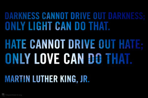 cannot drive out darkness only light can do that hate cannot drive out ...