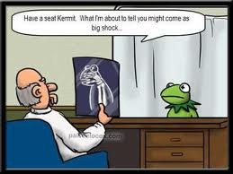 Kermit the Frog's Skeleton
