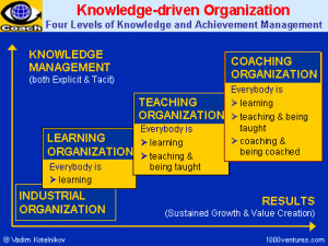 organizational design models