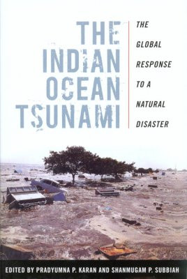 Disaster Natural Indian Ocean Tsunami
