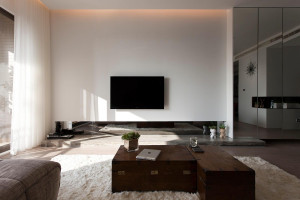 modern living room accents by bndesign.net