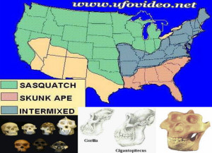 Sasquatch Bigfoot Sightings Map