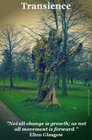 coping with impermanence transience oracle of quotes