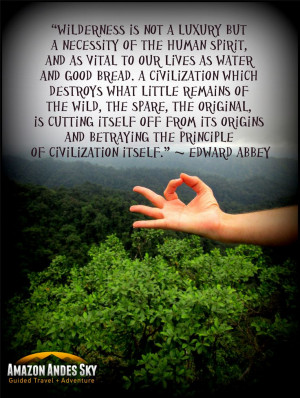 ... your life depends on it. Enjoy! #Wilderness #Quote #AmazonAndesSky