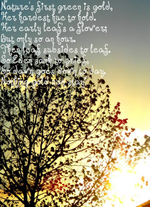 Gods Beauty In Nature