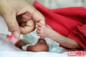nurse’s hand gently holds an infants’ hand. Lenses focus on NICU ...