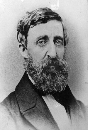 picture of the author Henry David Thoreau