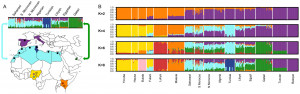 Genomic Ancestry of North Africans Supports Back-to-Africa Migrations