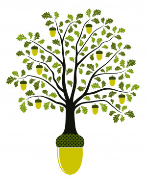 acorn.tree.jpg (1263×1556)