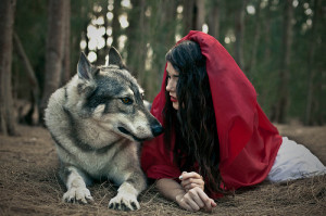 animal, girl, little red riding hood, nature, wolf
