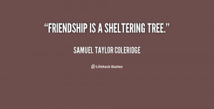 Friendship Sheltering Tree Quote