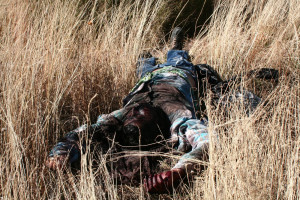 Noticias Recientes Fresnillo Zacatecas