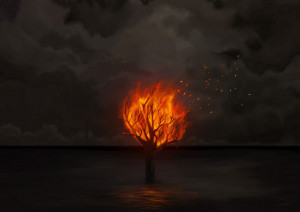 Burning Tree The Ocean...