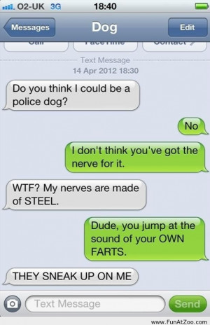 funny dog conversation on iphone funny picture