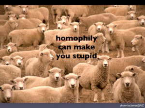 38 Responses to “Homophily, serendipity, xenophilia”