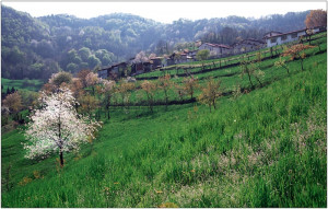 North Italy Countryside