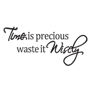 Time Is Precious ~ Quote Removable Vinyl Wall Decal Sticker 90cm x ...