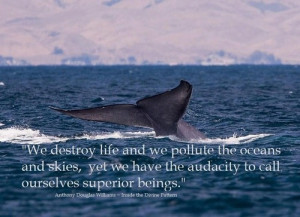 We Destroy Life And We Pollute Oceans And Skies