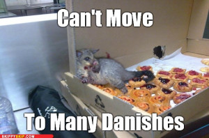 Funny Image Possum That Ate Many Danishes