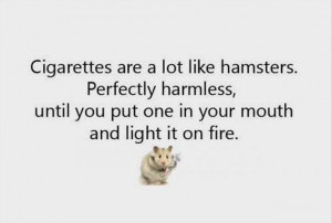 Cigarette Are A Lot Like Hamsters Perfectly Harmless
