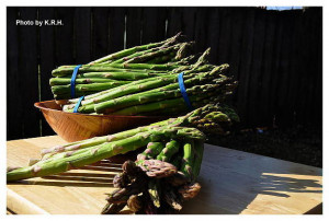 ... asparagus season i absolutely love asparagus not only is it one of