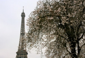 50 Best Quotes About Paris