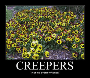 Minecraft Creeper Quotes