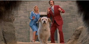 baxter from anchorman the legend of ron burgundy