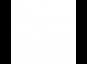 Holy Cross Tattoos Back Quote Paw Print Dragon