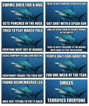 ... misunderstood sharks hahahahahaha oh my god i love the misunderstood