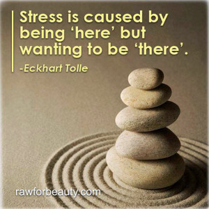Eckhart Tolleon what causes stress