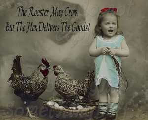 The Rooster May Crow, humorous quote, altered digital