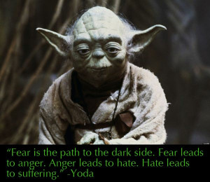 Fear is the path to the dark side. Fear leads to anger. Anger leads to ...