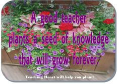 teacher seeds flowers quote more gardens quotes flower quotes ...