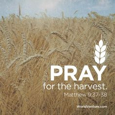 farm life quotes disciple christian missionaries christian harvest ...