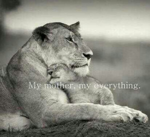 cute, lion love, love, mother love, pretty, quote, quotes