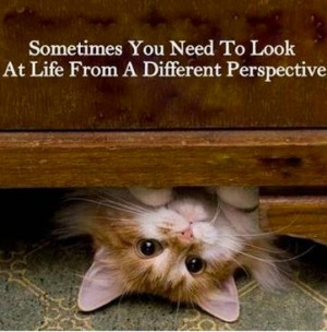 When things just don't look right, step back (or turn upside down) and ...