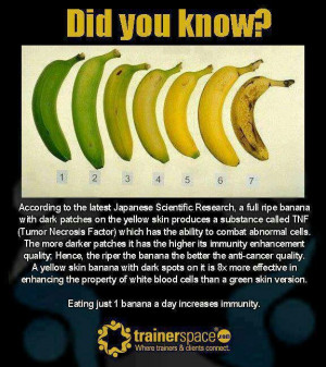 Did you know? Knowing your banana