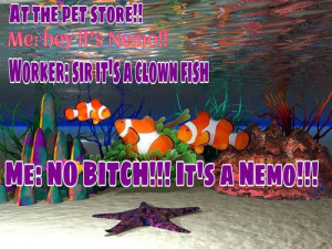 Funny Finding Nemo Quote Facebook Tagged Dory Squishy Kootation ...